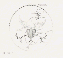 PLO_Federal Eagle Inlay_I130.1.1_0.8_300DPI_LRE_FNL_SO17363-5_result